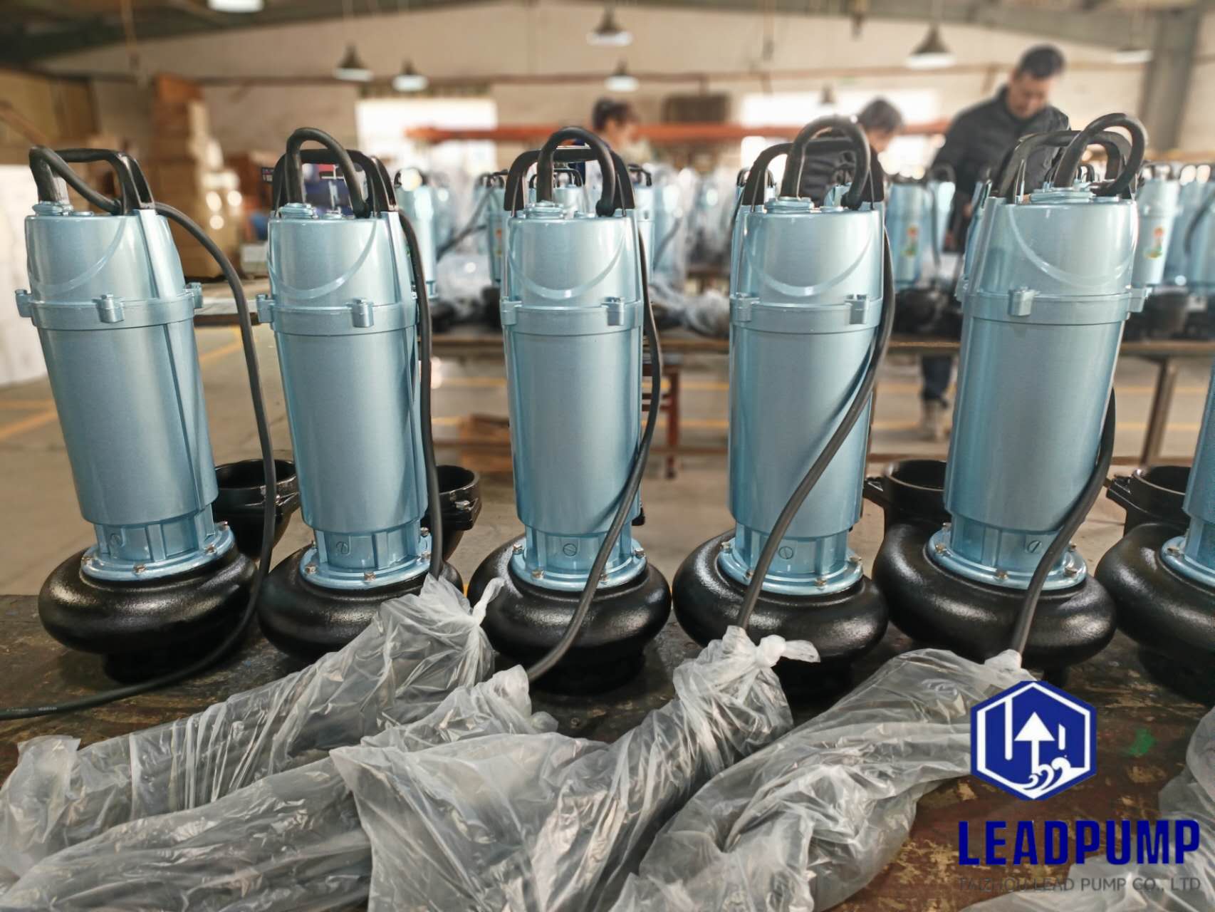 Taizhou chì Pump Co., Ltd hoàn thành việc sản xuất máy bơm chìm mới cho khách hàng Trung Đông